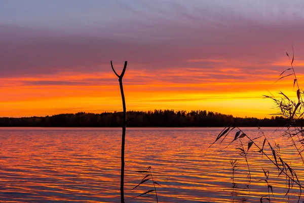 Balıkçılık tan sonra sonbahar akşamı gölde güzel gün batımı - Resim