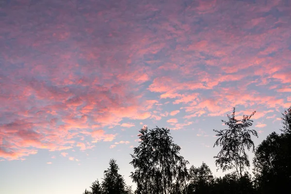 Nádherné růžové mraky na modrém nebi — Stock fotografie