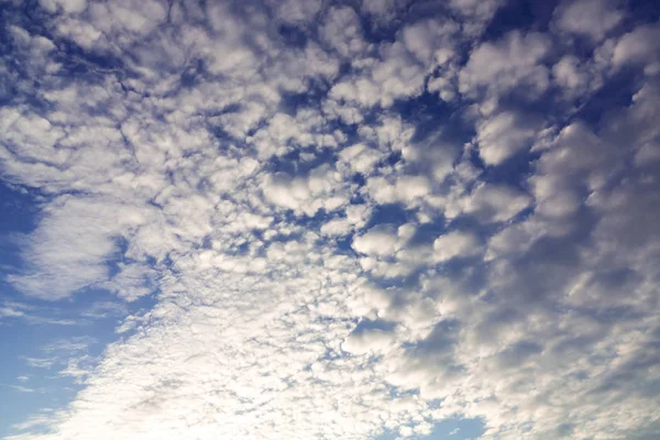 Lindas nuvens num céu azul ao pôr-do-sol — Fotografia de Stock