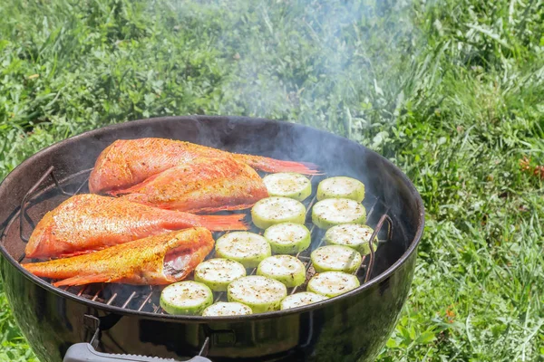 Piquenique ao ar livre no verão. Cozinhar em um peixe grelha redonda robalo e fatias de abobrinha — Fotografia de Stock