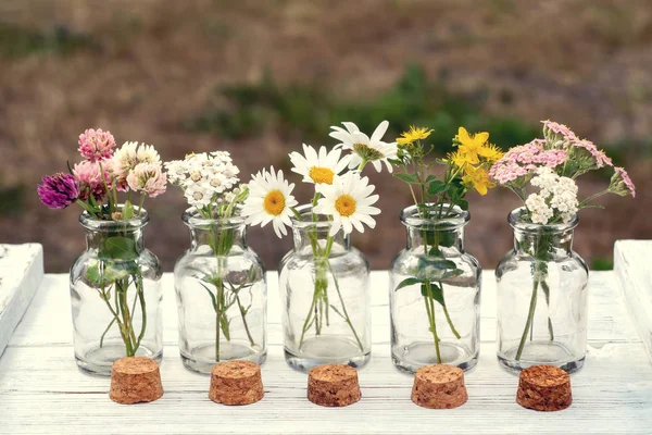 Varios pequeños frascos de vidrio con ramos de plantas medicinales - homeopatía o concepto de medicina herbal — Foto de Stock