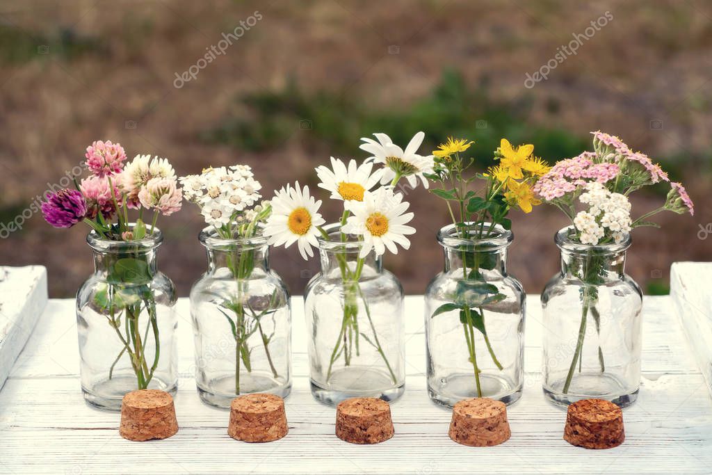 Several small glass bottles with bouquets of medicinal plants - homeopathy or herbal medicine concept