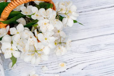 Kitap bir yerde Yasemin ya da yaz aylarında açık havada beyaz ahşap tepsi üzerinde sahte turuncu denilen Philadelphia çiçekler