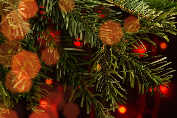 Vánoční skladba, větve vánočního stromu na tmavém pozadí se světly — Stock fotografie