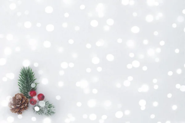 Karácsonyfa ág, kúpok és piros bogyók a havas jég-üres az üdvözlőlap vagy más design, hely a szöveg, másolási tér — Stock Fotó
