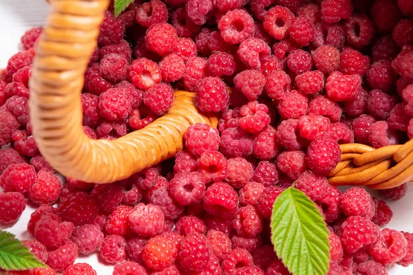 Verse bosframbozen verspreid over de tafel uit een omgekeerde rieten mand, close-up — Stockfoto