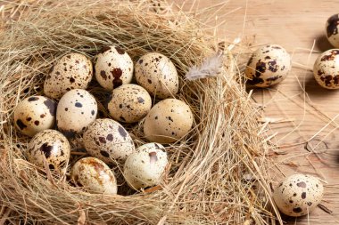 Tahta bir masa üzerinde samandan yapılmış dekoratif bir yuvada birkaç bıldırcın yumurtası.