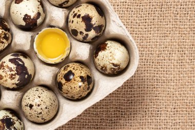 Karton ambalajlı bıldırcın yumurtaları. Yakın çekim, kopyalama alanı, düz yatak.