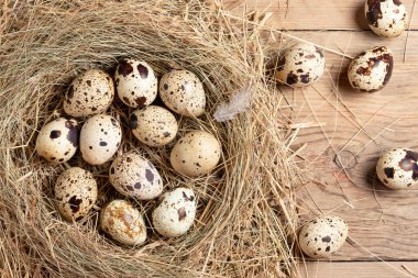 Tahta bir masanın üzerinde samandan yapılmış dekoratif bir yuvada birkaç bıldırcın yumurtası.
