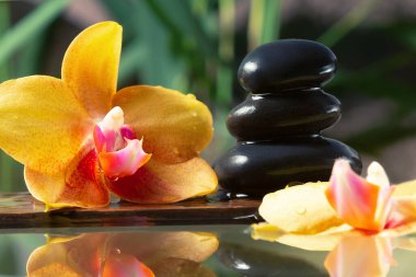 Suyun yüzeyindeki tahtadan yapılmış siyah zen taşları ve sarı orkideler. SPA, rahatlama, meditasyon konsepti