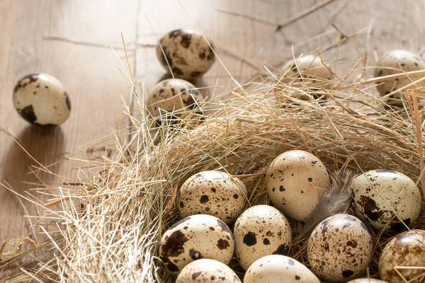 Dekoratif bir yuvada birkaç bıldırcın yumurtası ahşap bir masa üzerinde samandan yapılmış, yakın plan, uzay kopyası.