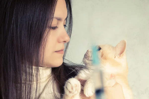 Una giovane ragazza con un simpatico gatto crema dal veterinario si prepara per essere vaccinata — Foto Stock