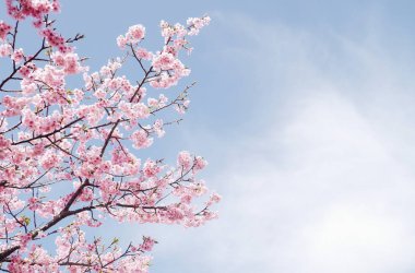 Hatırlanması gereken bir an 