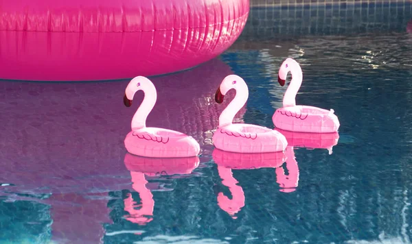 Pink Flamingo Uma Piscina — Fotografia de Stock