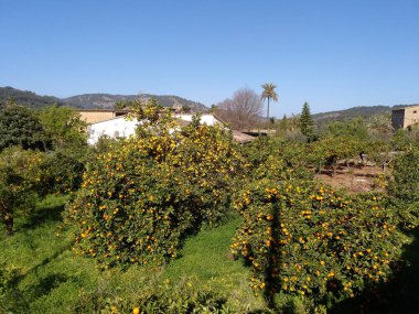 Soller - Mallorca, İspanya 'da yürüyüş