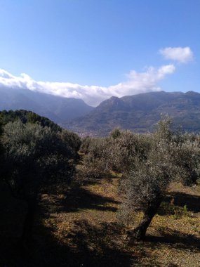 Soller - Mallorca, İspanya 'da yürüyüş
