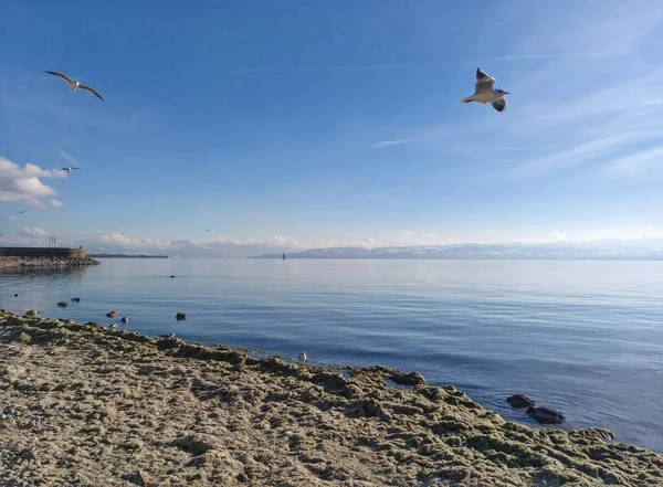 Día Soleado Lago Constance —  Fotos de Stock
