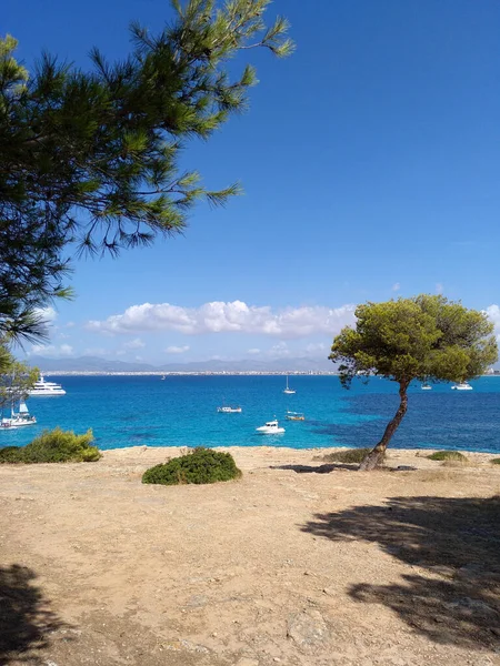 Línea Costera Son Veri Nou Mallorca —  Fotos de Stock