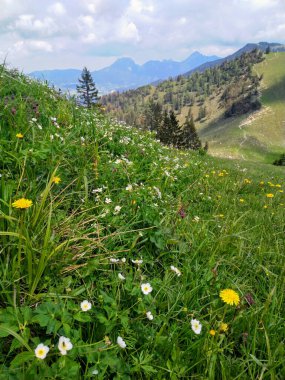 Brecherspitz - Bavyera 'da bir dağ
