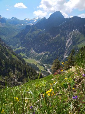 Oberstdorf yakınlarındaki Oytal.