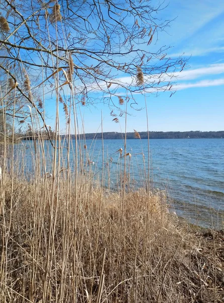 Hari Yang Cerah Danau Starnberg — Stok Foto