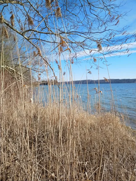 Sonniger Tag Starnberger See — Stockfoto