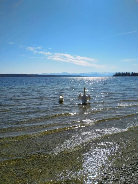 Hari Yang Cerah Danau Starnberg — Stok Foto