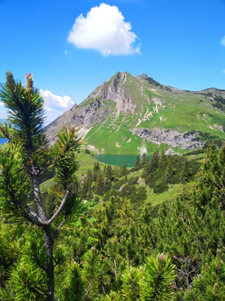 Seealpsee Sebuah Danau Pegunungan Tinggi Pegunungan Alpen Bavaria — Stok Foto