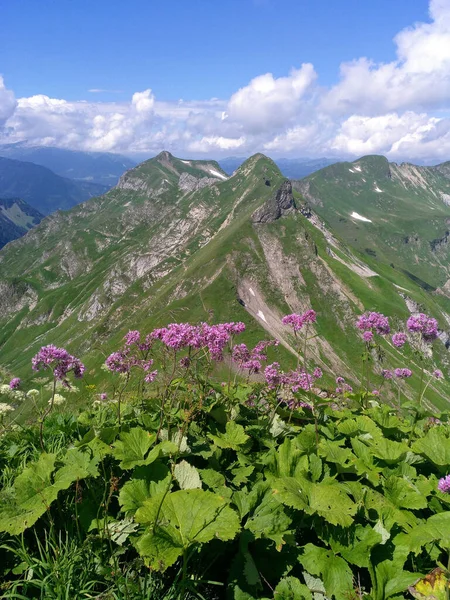 Tyskland Bayern Allgaeu Alperna Vandring Genom Alperna — Stockfoto