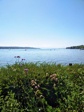 Starnberg 'deki gölde güneşli bir gün