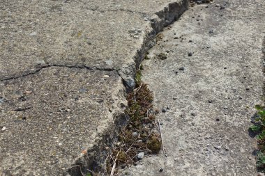Eski yıpranmış çatlak zemin kaldırım açık