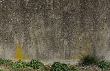 Yıpranmış eski beton duvar arka plan grunge doku çim