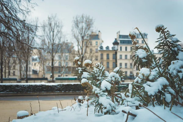 Snow rests in the parks of Paris in a cold autumn.