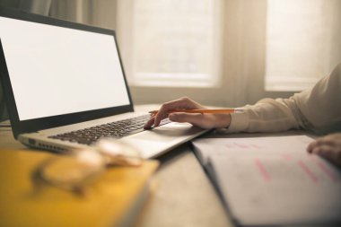 İş kadını laptopuyla çalışıyor.