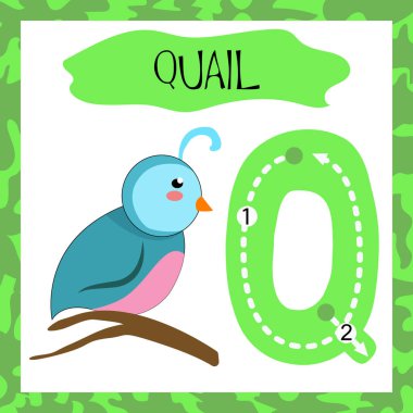 Mektup Q sevimli çocuklar renkli hayvanat bahçesi ve hayvanlar İngilizce kelime ve el yazısı öğrenen çocuklar için Bıldırcın flashcard izleme Abc alfabesi 