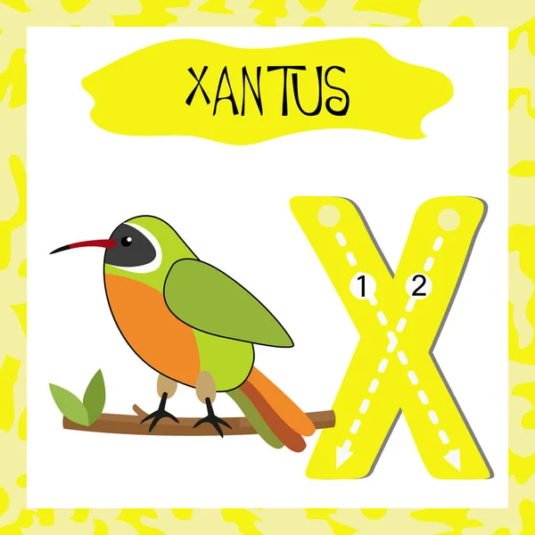 手紙p大文字かわいい子供カラフルな動物園や動物子供のための孔雀のフラッシュカードを追跡するabcアルファベット英語の語彙や手書きベクトルイラストを学ぶ ストックベクター C Natchapohn