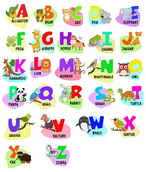 Animal Alphabet Graphic Cute Zoo Alphabet Mit Zeichentricktieren Isoliert Auf — Stockvektor