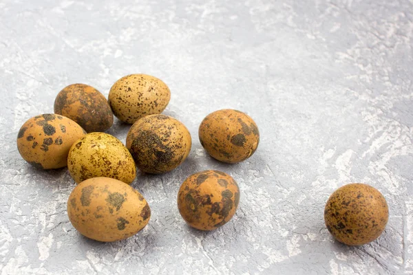 Pequenos Ovos Marrons Pintados Fundo Cinza — Fotografia de Stock