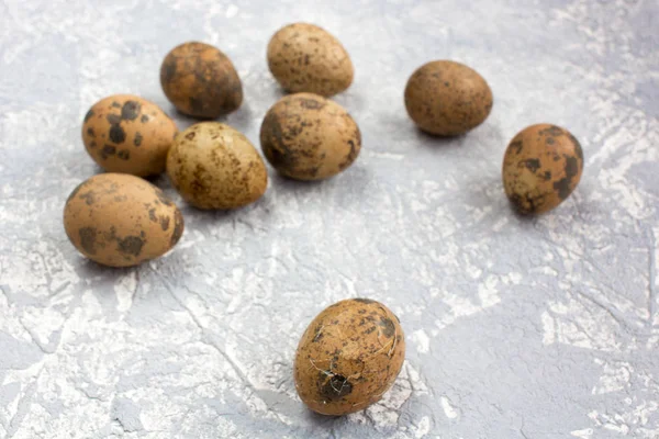 Pequenos Ovos Marrons Pintados Fundo Cinza — Fotografia de Stock