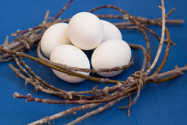 Белые Яйца Гнезде Голубом Фоне — стоковое фото