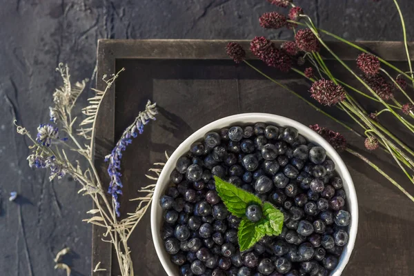 Färska ekologiska blåbär i en skål på mörk bakgrund med ört — Stockfoto