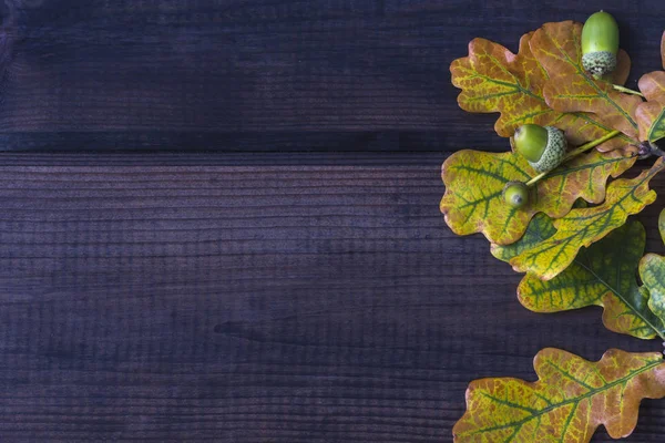 Autumn composition. Border frame of colorful autumn leaves — Stock Photo, Image