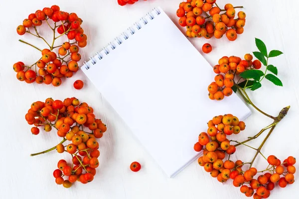 Composizione di bacche di autunno. Un taccuino con spazio per il testo in un — Foto Stock