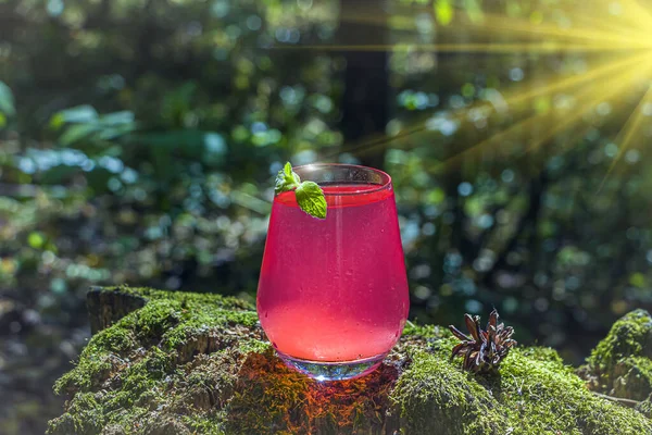 Erfrischend Kühle Sommer Limonade Aus Erdbeeren Himbeeren Grapefruit Oder Roten — Stockfoto