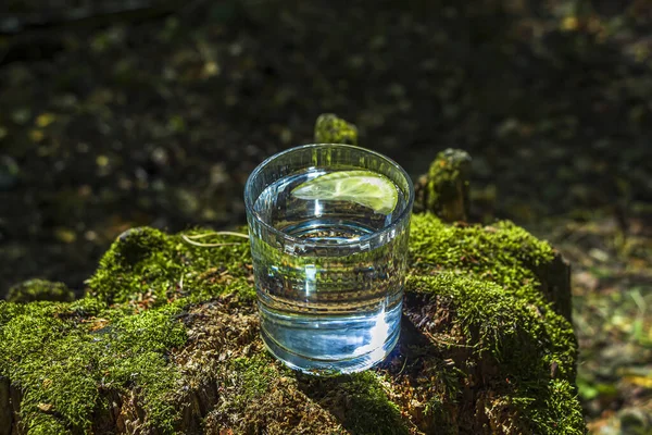 緑の自然を背景に苔で木の切り株にきれいな新鮮な水のガラス 春の生態学的に純粋な水 世界水の日 — ストック写真