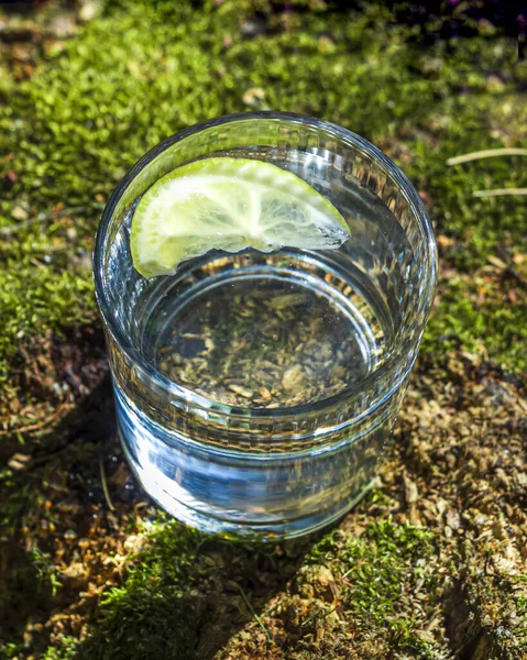 그루터기에 레몬을 초록색 배경에 이끼를 넣는다 스프링은 생태학적으로 물입니다 디톡스 — 스톡 사진