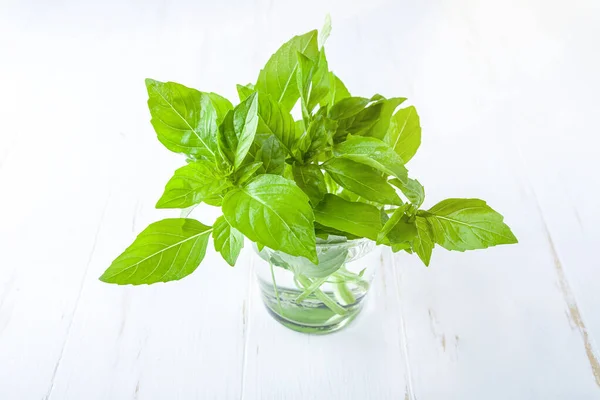 Bando Manjericão Verde Fresco Frasco Vidro Sobre Fundo Branco Planta — Fotografia de Stock