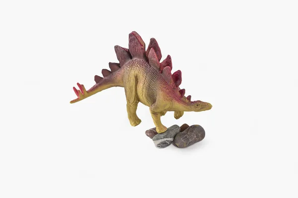 Stegosaurus Dinosaurier Spielzeug Auf Steinen Auf Weißem Hintergrund — Stockfoto