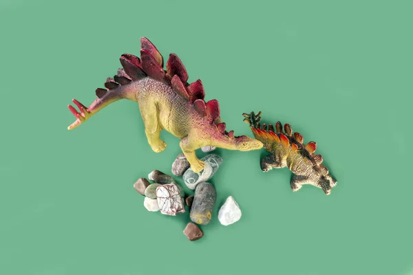 Los Dinosaurios Stegosaurus Juegan Sobre Piedras Sobre Fondo Verde Mamá —  Fotos de Stock