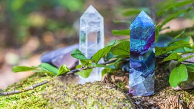 Gemstones fluorite, quartz crystal and various stones. Magic rock for mystic ritual, witchcraft Wiccan and spiritual healing on stump in forest. Meditation reiki. Ritual for love clipart